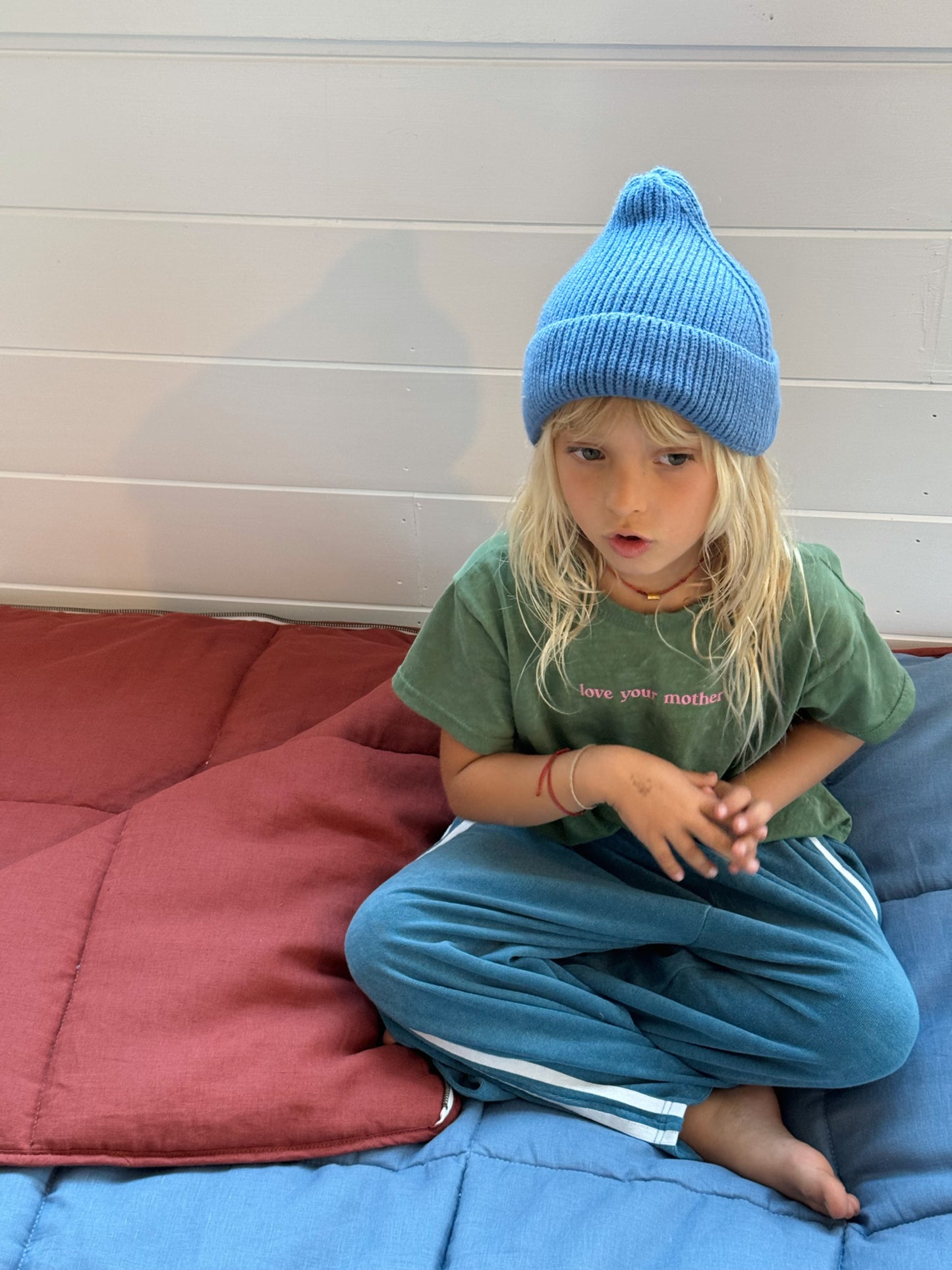 Blue & Burgundy Sleeping Bag