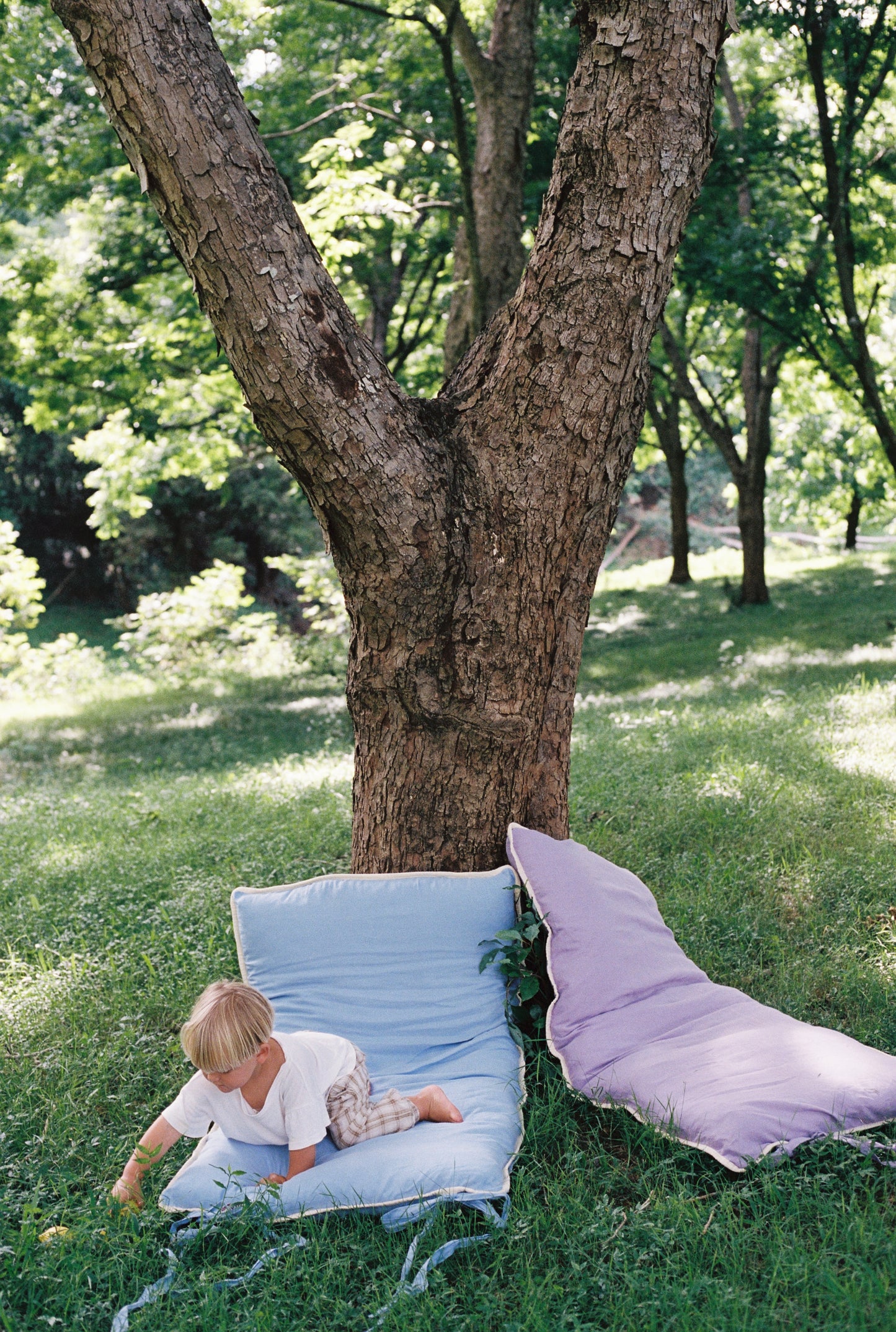 Toddler Bed Blue