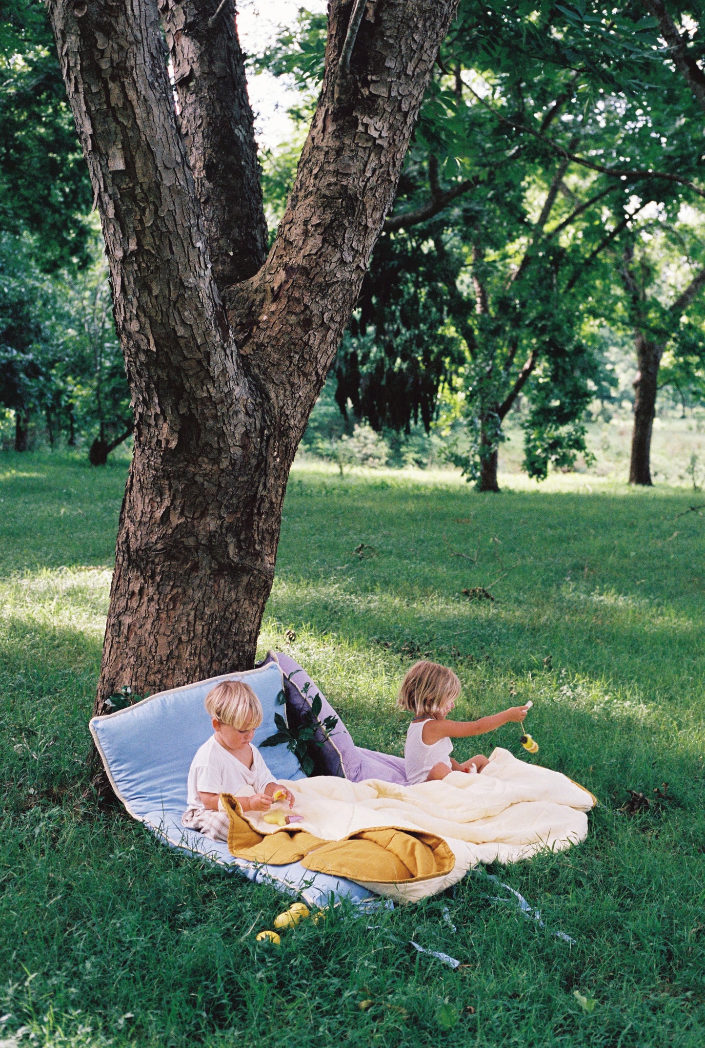 Toddler Bed Blue