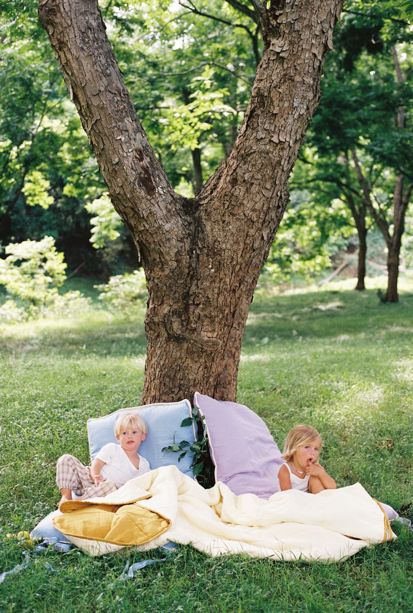 Toddler Bed Lavender