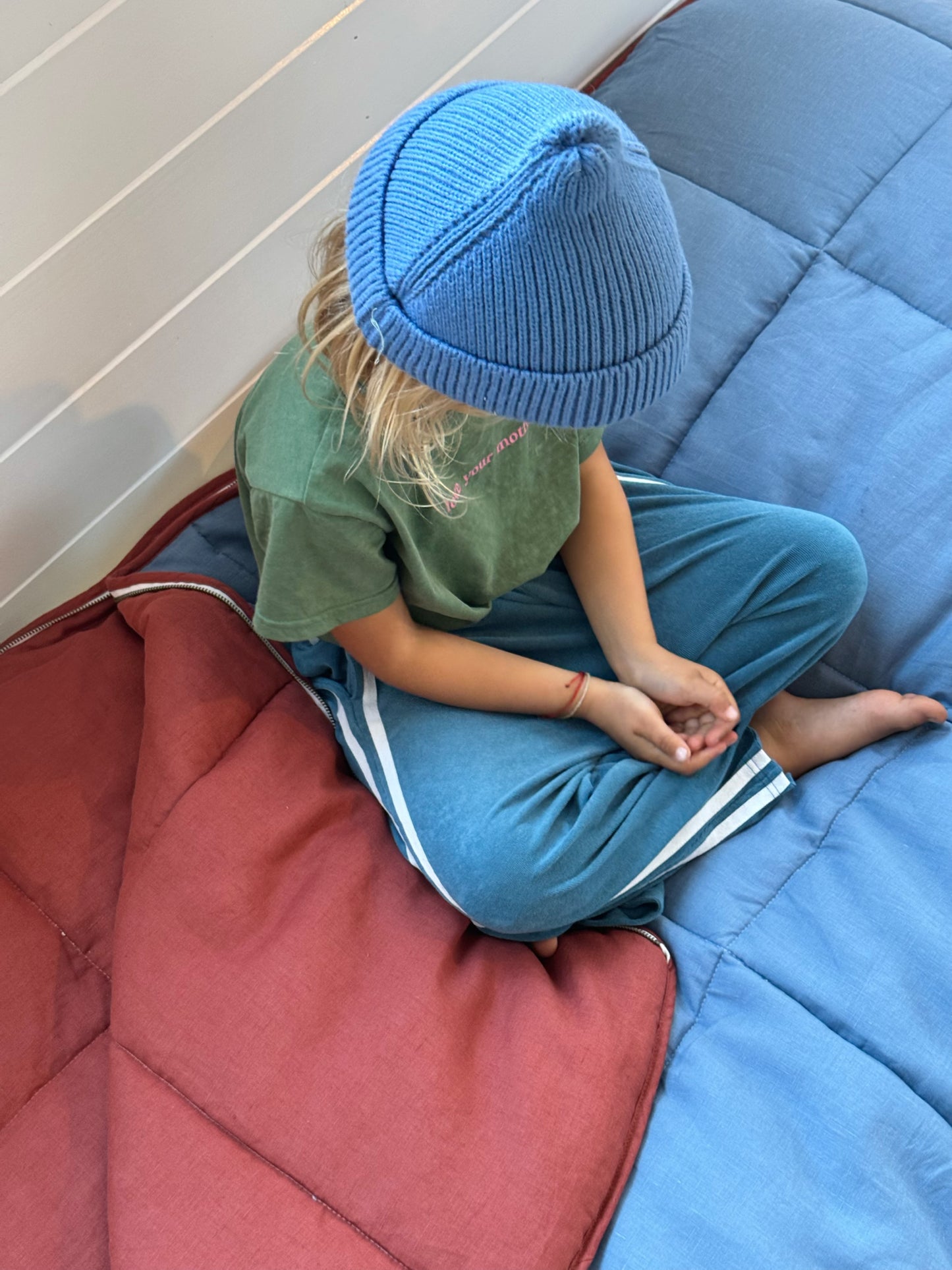 Blue & Burgundy Sleeping Bag